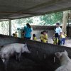 IMG_20170825_113908